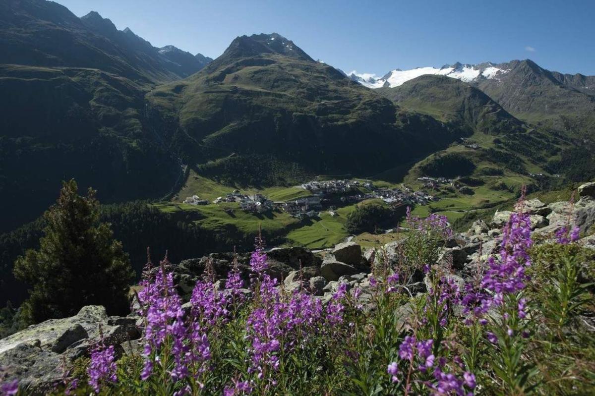 Pension Wendlhof اوبرغورغل المظهر الخارجي الصورة